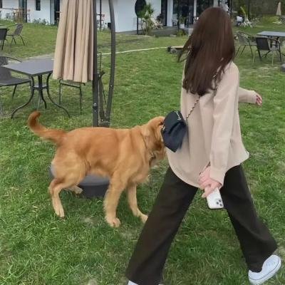 离开拉斯维加斯